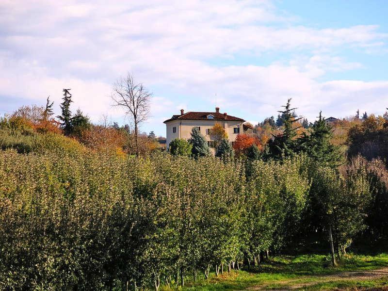 Cascina Bringin Lejlighed Mondovì Eksteriør billede